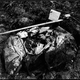 Photos of uncovered “police evidence” supposedly found beneath the foundations of the Rustin Parr house, taken by Ben Rock in a friend’s backyard.